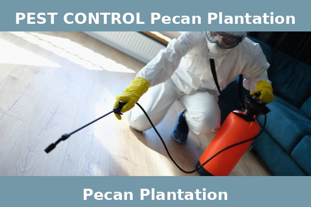 PEST CONTROL Pecan Plantation